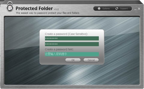 下载安装IObit Protected Folder