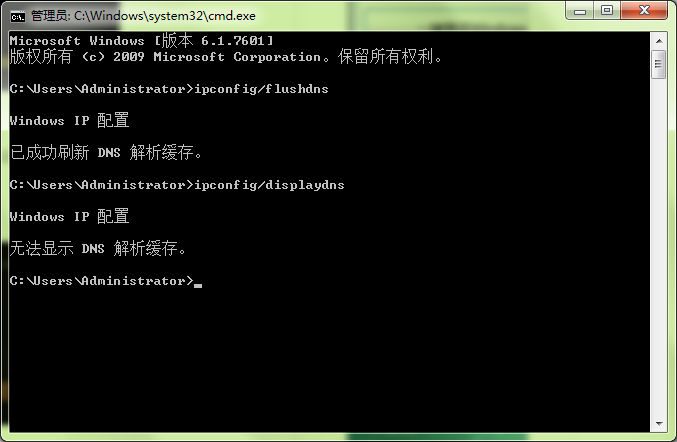 输入ipconfig/displaydns